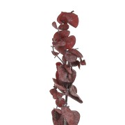 Eucalipto Baby Blu rosso - fiore secco per creazione DIY x1 stelo