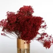 Gipsofila Rosso - fiore secco per creazione diy x1 stelo