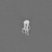 Medusa in plastica 11 mm per accessori e bijoux resina di inclusione - Bianco x1