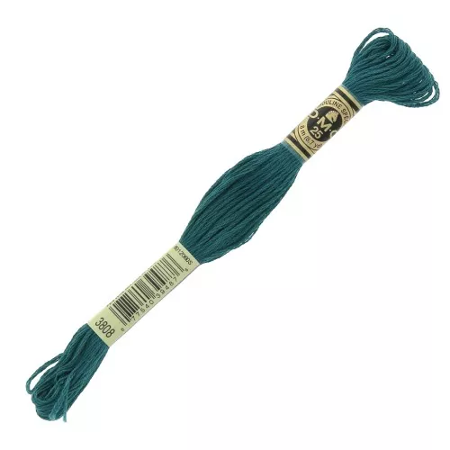 Filo da ricamo DMC Mouliné Spécial 117 MC Blu anatra (3808) x8m