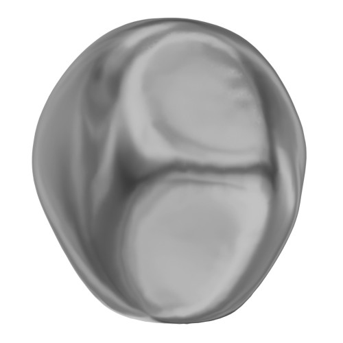 Barocco madreperlacea PureCrystal 5841 perla irregolare 8 mm Dark Grey Pearl x1