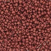 Charlottes 13/0 Opaque Light Chocolate x10g