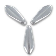 Daghe mm. 5x16 Labrador x50|raw }}