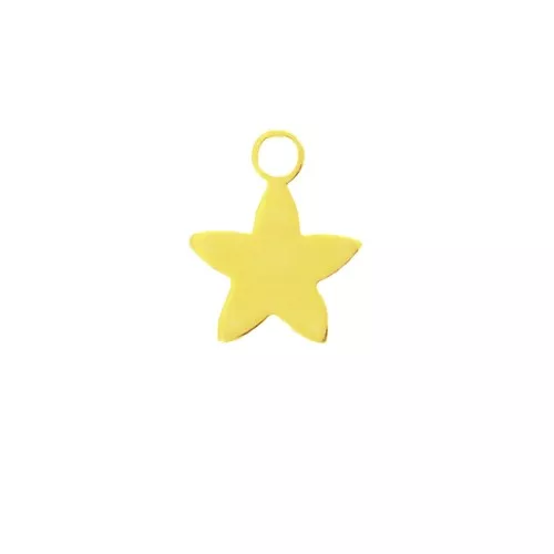 Mini ciondolo stella 8x6 mm in Argento 925 Dorato x1