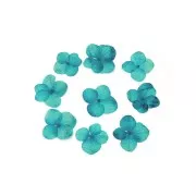 Fiori Ortensia blu secchi e spremuti per la creazione DIY x1