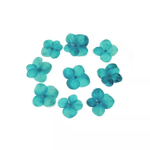 Fiori Ortensia blu secchi e spremuti per la creazione DIY x1
