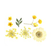 Assortimento fiori secchi e spremuti per la creazione DIY - Giallo x1|raw }}