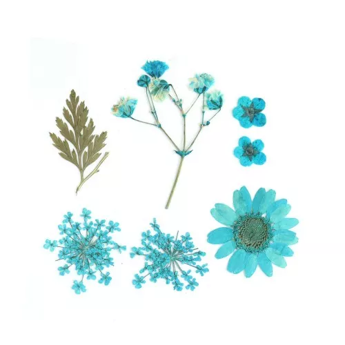 Assortimento fiori secchi e spremuti per la creazione DIY - Blu x1