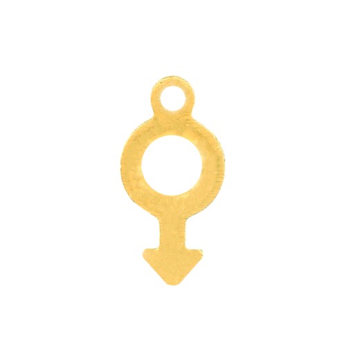 Ciondolo simbolo maschile 12x6 mm - Acciaio inossidabile Dorato x1