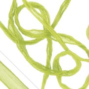 Nastro in seta Anice  x m.1|raw }}