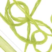 Nastro in seta Anice x m.1