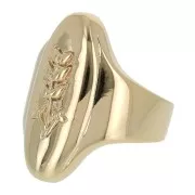 Anello ovale - Spighe - da donna dimensione 54 Placcato oro 3 micron x1