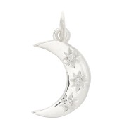 Pendente luna stella del nord e Ossido di zirconio 17x10.5mm - Argento 925 - Crystal x1|raw }}