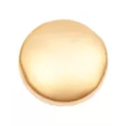 Chiusura a vite tondo mm. 11 Dorato x1