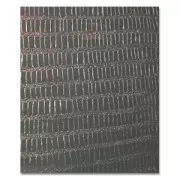 Transfer Termoadesivo imitazione Lucertola Nero x1