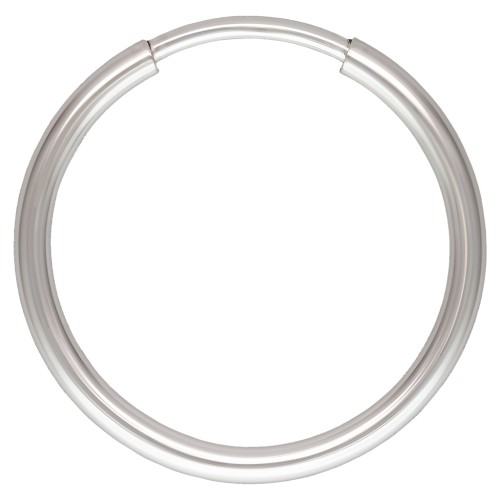 Orecchini cerchio 14 mm in Argento 925 x2