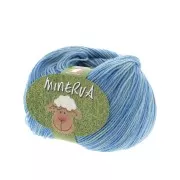 Lana Minerva n°21 - 100% Merino - Multi blu x50g