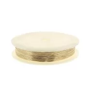 Filo duro mm. 0.4 in Gold filled x10 m