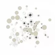 Abbinamento di strass da incollare PureCrystal Crystal x2gr