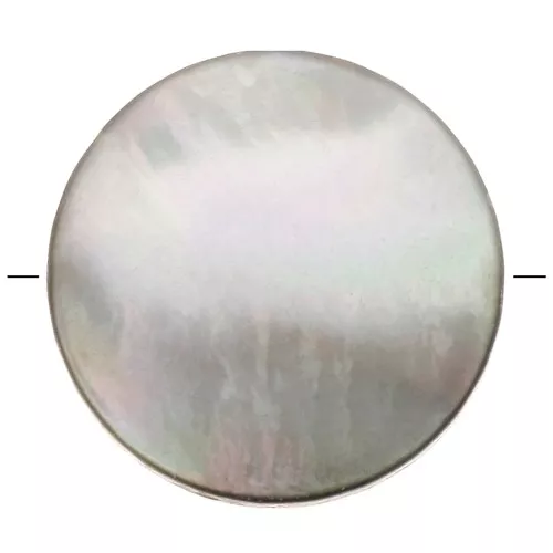 Perle piatta forma disco in madreperla tinta 15 mm - Grigio x1