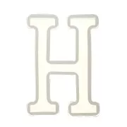 Stampo silicone per fare la lettera H in resina 40x26mm x1