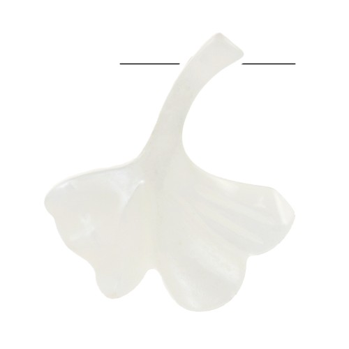 Perla foglia di Ginkgo 17x15 mm - Naturale x1