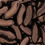 Perline in vetro QuadBow Bead 6x15 mm - Dark Bronze x10|raw }}