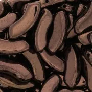 Perline in vetro QuadBow Bead 6x15 mm - Dark Bronze x10