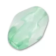 Oliva attorcigliata mm. 24x17 Mint x1