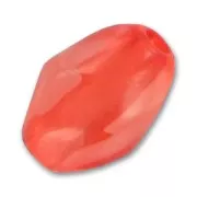 Oliva attorcigliata mm. 24x17 Light Siam x1