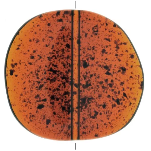 Disco irregolare in resina trasparente 37x39 mm - Ambra punteggiata x1