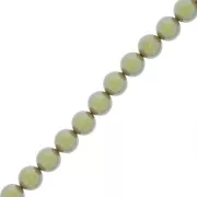 Perle Preciosa - Round Pearl Maxima - 5 mm Pearlescent Khaki x25