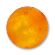 Tonda Polaris polsweet mm. 8 Topaz x1|raw }}