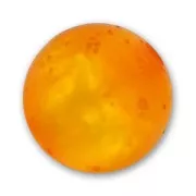 Tonda Polaris polsweet mm. 8 Topaz x1