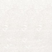 Polvere per embossare Trasparente x 40 ml