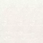 Polvere per embossare