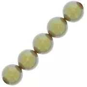 Perle Preciosa Round Pearl Maxima - 10 mm Pearlescent Khaki x5