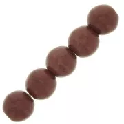 Perle tonde 8 mm Howlite tinta - Marrone x10