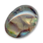 Cabochon Abalone mm.  8x6 naturale x1
