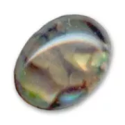 Cabochon Abalone mm. 8x6 naturale x1