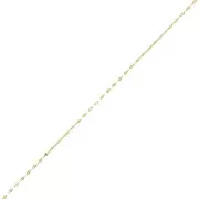 Catena 1.4 mm - Dorato con oro fino x50cm