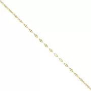 Catena 1.4 mm - Dorato con oro fino x50cm