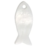 Perle di pesce in madreperla da 21,5 mm - Naturale x10