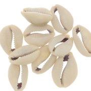 Assortimento di mezzo conchiglie Cauri 18 à 20 mm - Naturale x10