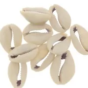 Assortimento di mezzo conchiglie Cauri 18 à 20 mm - Naturale x10