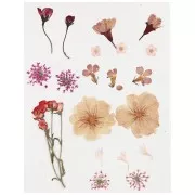 Assortimento fiori secchi e spremuti per la creazione DIY - Rosa chiaro