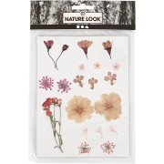 Assortimento fiori secchi e spremuti per la creazione DIY - Rosa chiaro