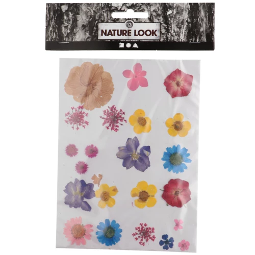 Assortimento fiori secchi e spremuti per la creazione DIY - Misto