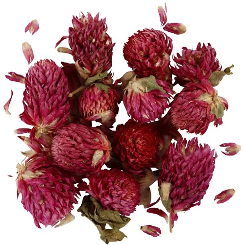 Assortimento di fiori secchi - Trifoglio rosso - Viola x15g