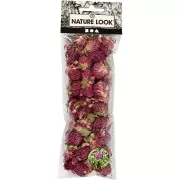 Assortimento di fiori secchi - Trifoglio rosso - Viola x15g